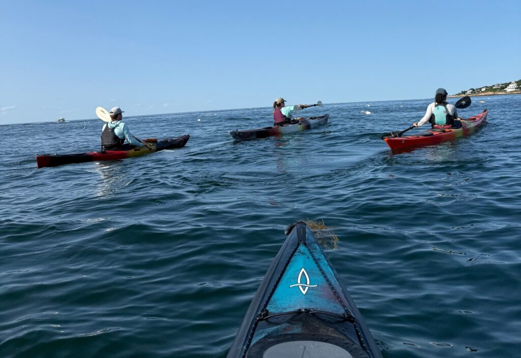 sea kayak trip