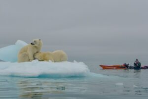 Jaime Sharpe Circumnavigating Svalbard island in the arctic